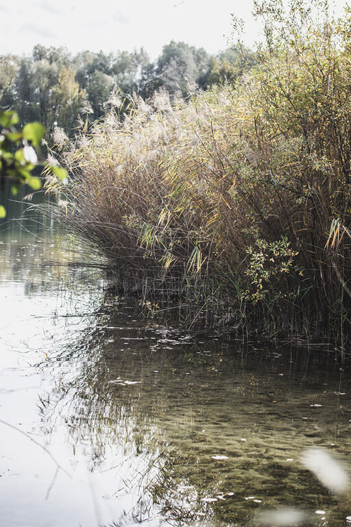 Buntestun-Schielein-Kieswerk-277