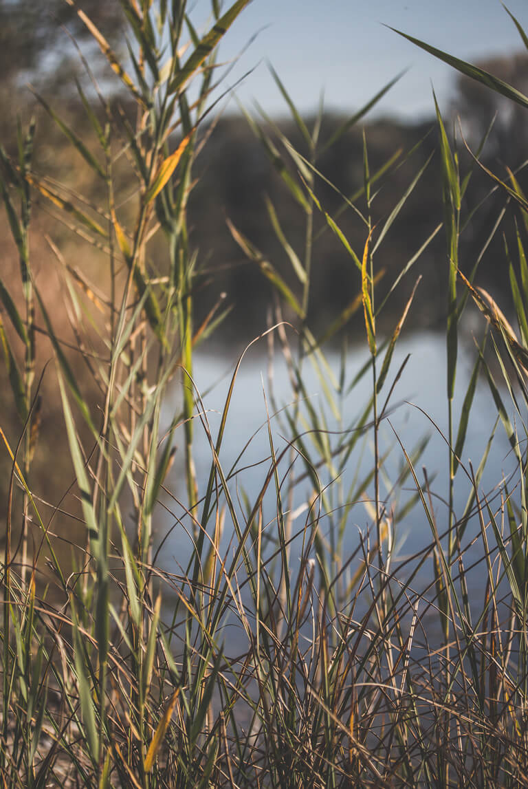 Buntestun-Schielein-Kieswerk-556