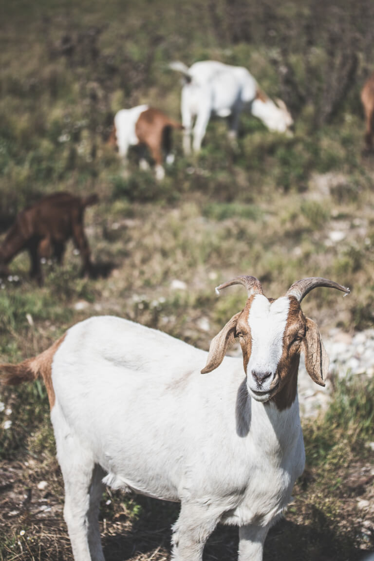 Buntestun-Schielein-Kieswerk-9245
